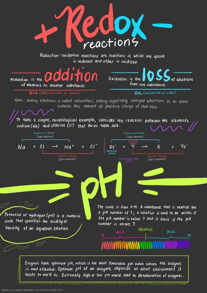 biological molecules 9