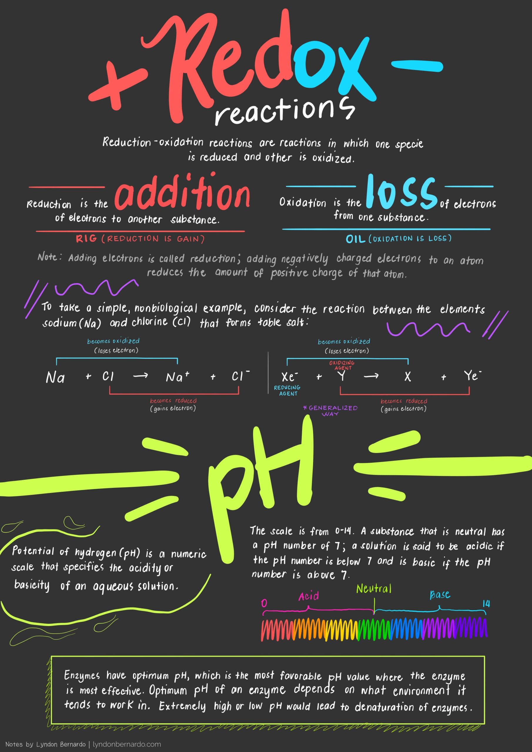 biological molecules 9