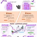 scalars and vectors 3